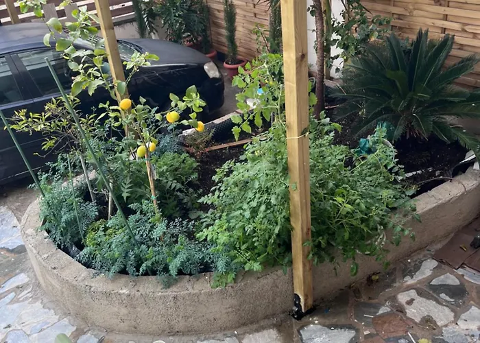 Valentinis Flat Lägenhet