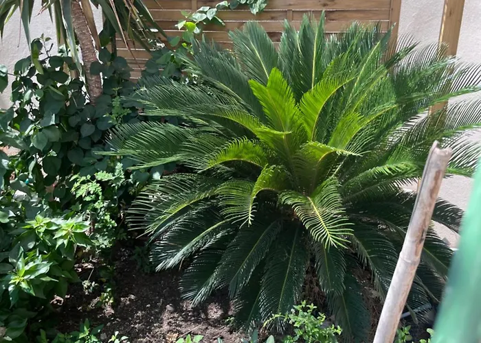 Valentinis Flat Lägenhet *