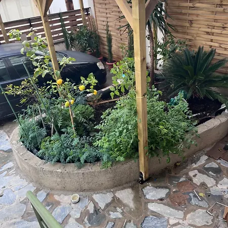 Valentinis Flat Apartamento